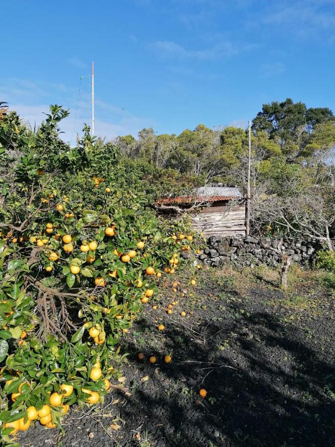 Monte  Rosa Do Canto מראה חיצוני תמונה