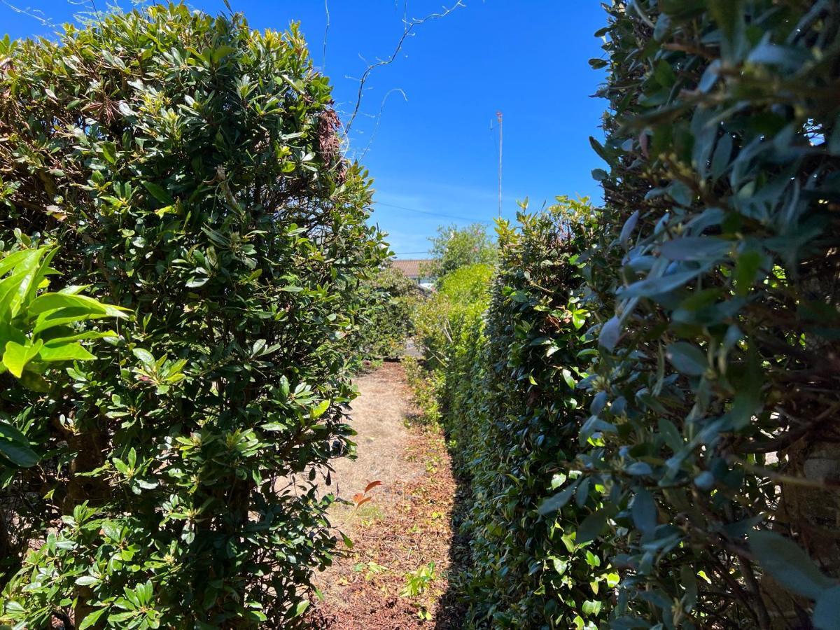Monte  Rosa Do Canto מראה חיצוני תמונה